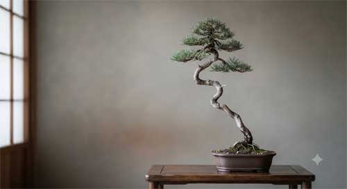Ejemplo visual de un bonsai estilo Bunjin o Literato
