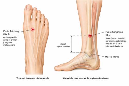 Localización de puntos Sanyinjiao y Taichong para drenar humedad