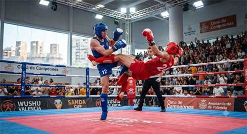 Combate de Sanda en un tatami con equipación protectora