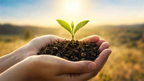 Metáfora del campo de cultivo del Karma