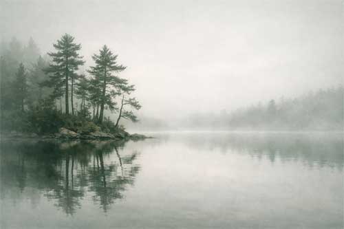 Paisaje minimalista de pinos y lago en bruma