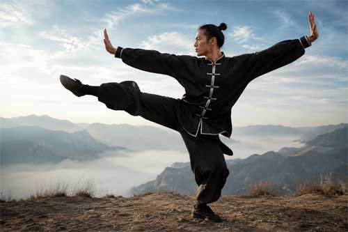 Practicante de Chang Quan ejecutando una técnica de puño largo con elegancia