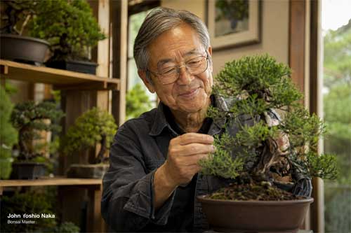 John Yoshio Naka trabajando en sus bonsais