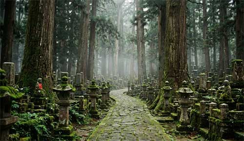 Paisaje del Monte Koya con cedros antiguos y templos