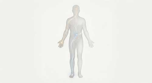 Ilustración esquemática del cuerpo humano mostrando conexiones energéticas entre la mano y el pie, y entre la cabeza y las extremidades