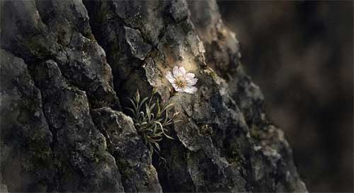 Ilustración artística de una flor silvestre creciendo entre grietas de piedra oscura, simbolizando la resistencia y la belleza cruda sin ornamentos
