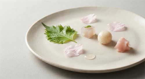 Composición artística abstracta y minimalista que evoca la estética del sushi sobre superficies orgánicas, con hojas de shiso, flores de cerezo y texturas suaves, sin figuras humanas explícitas