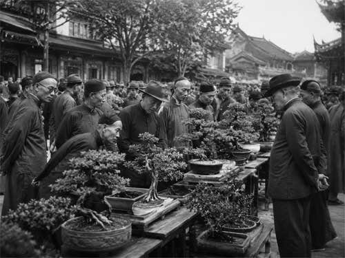 Fotografía antigua en blanco y negro de un mercado de plantas en Shanghai con personas observando bonsais