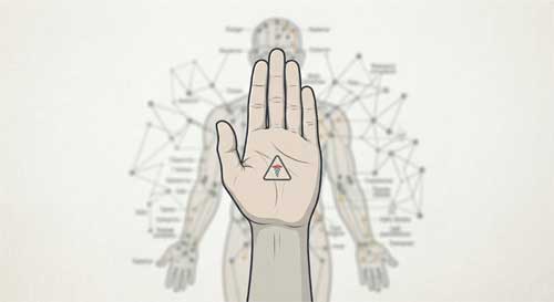 Mano haciendo gesto de stop suave sobre un mapa de puntos de acupuntura borrofo, símbolo de advertencia médico discreto, estilo ilustración limpia y seria colores neutros