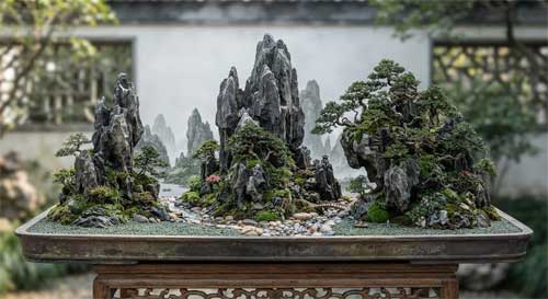 Composición de penjing de paisaje con rocas verticales y pequeños árboles, evocando montañas lejanas