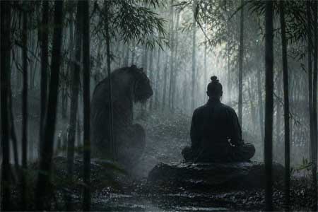 The shadow that lurks The hour of the tiger and the breath